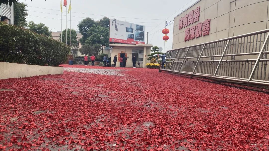 开门大吉|虎虎生威，欣欣向荣！(图3)