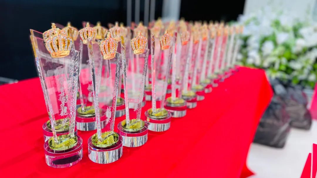 徐州连云港地区万喜电器营销峰会圆满落幕:同心合力,赢战 2025!(图12) 徐州连云港地区万喜电器营销峰会圆满落幕:同心合力,赢战 2025!(图12)