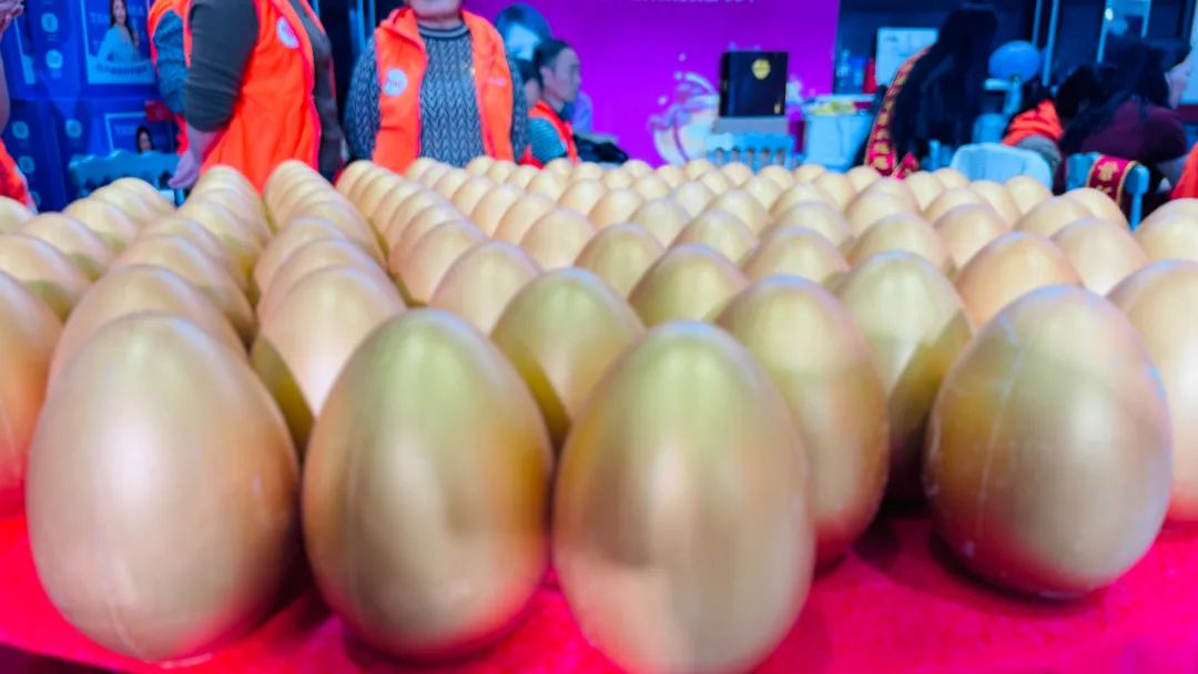 徐州连云港地区万喜电器营销峰会圆满落幕:同心合力,赢战 2025!(图30) 徐州连云港地区万喜电器营销峰会圆满落幕:同心合力,赢战 2025!(图30)