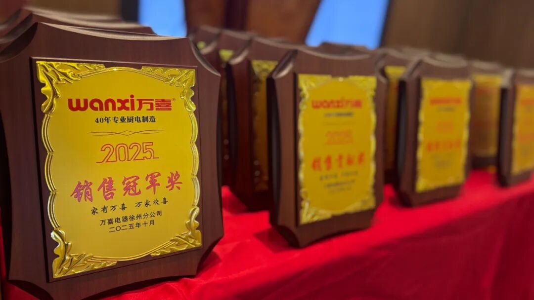 聚势增长 共生致远 | 2025徐州万喜电器营销峰会圆满落幕!(图25) 聚势增长 共生致远 | 2025徐州万喜电器营销峰会圆满落幕!(图25)