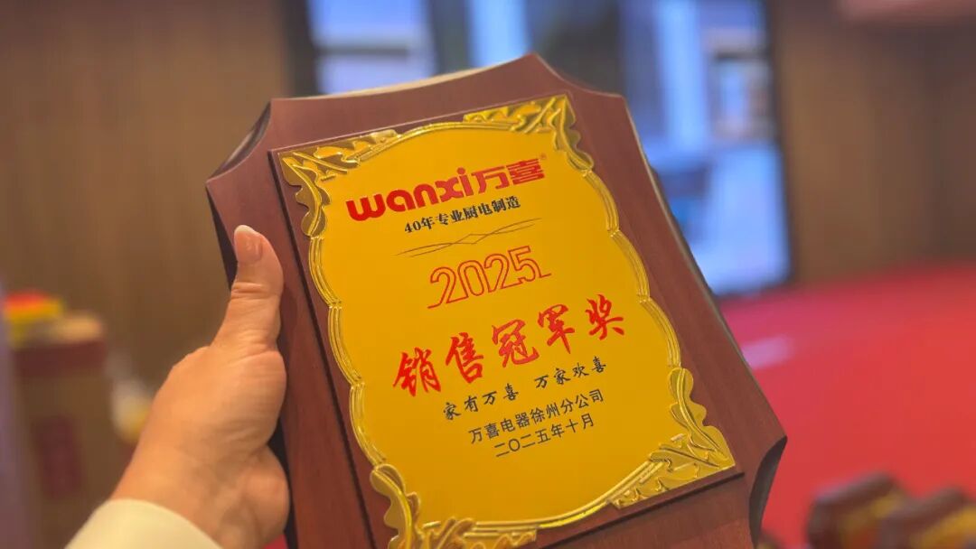 聚势增长 共生致远 | 2025徐州万喜电器营销峰会圆满落幕!(图24) 聚势增长 共生致远 | 2025徐州万喜电器营销峰会圆满落幕!(图24)