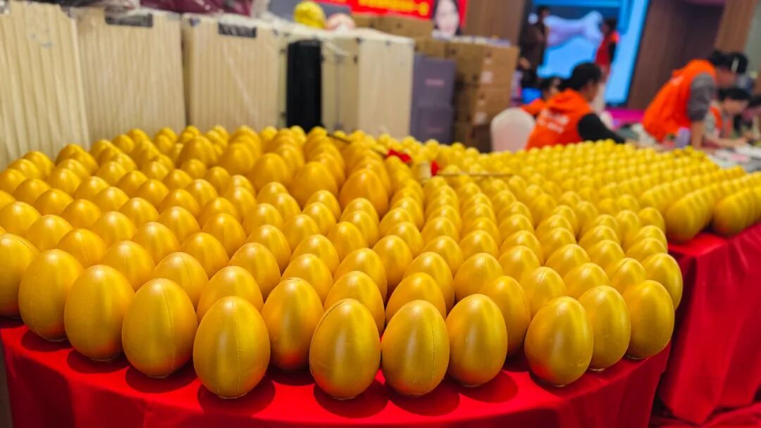 聚势增长 共生致远 | 2025徐州万喜电器营销峰会圆满落幕!(图29) 聚势增长 共生致远 | 2025徐州万喜电器营销峰会圆满落幕!(图29)