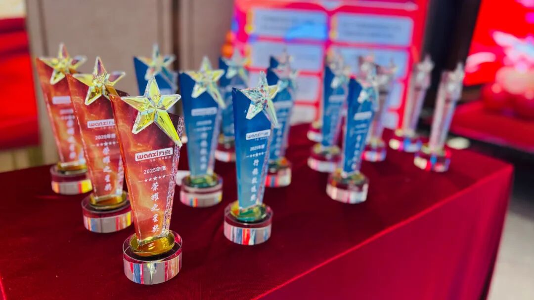 万聚淮彩，喜启新程 | 淮安万喜电器2025经销商峰会精彩回顾(图26)